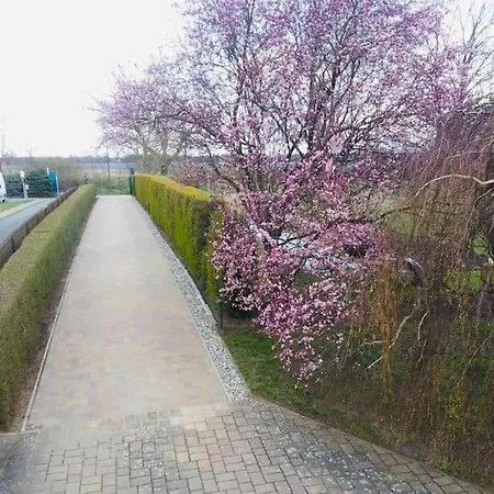 Geraeumige Mit Terrasse In Ruhiger Lage *