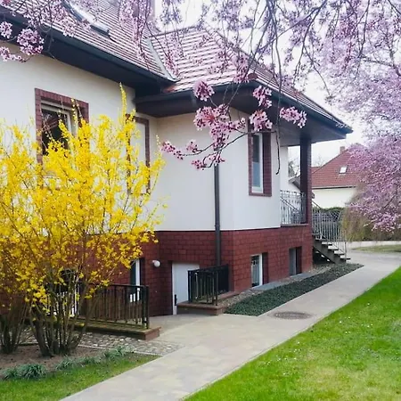 דירה Geraeumige Mit Terrasse In Ruhiger Lage *
