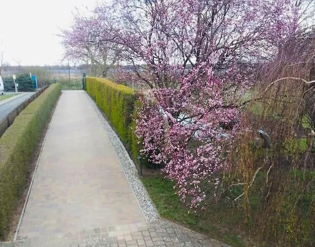 Geraeumige Mit Terrasse In Ruhiger Lage *